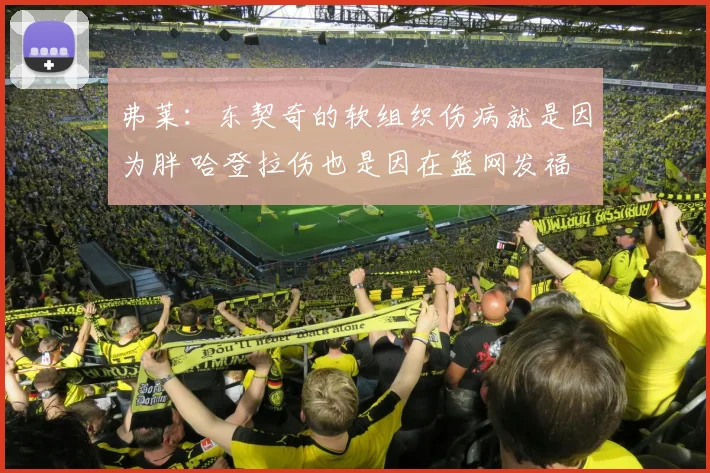 弗莱：东契奇的软组织伤病就是因为胖 哈登拉伤也是因在篮网发福