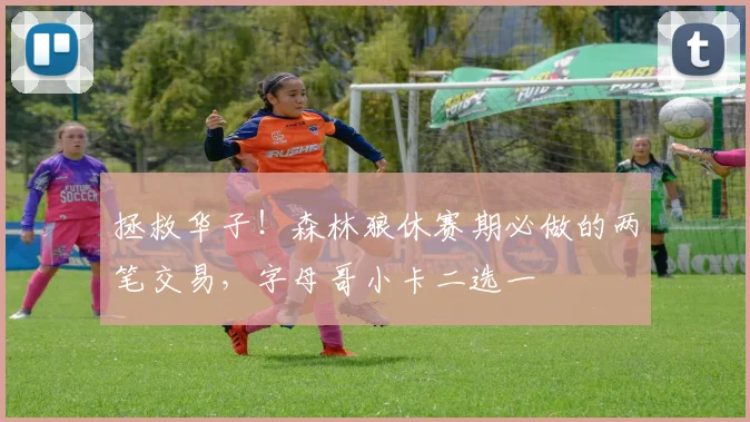 拯救华子！森林狼休赛期必做的两笔交易，字母哥小卡二选一