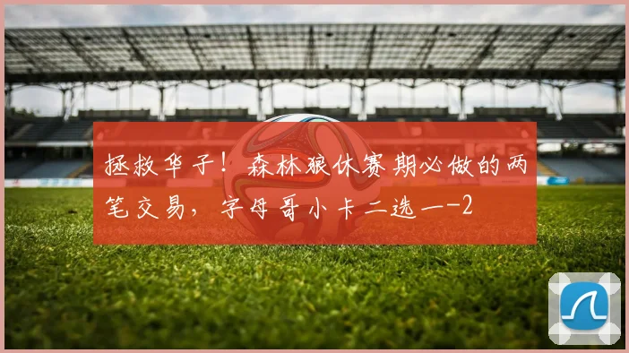 拯救华子!森林狼休赛期必做的两笔交易,字母哥小卡二选一