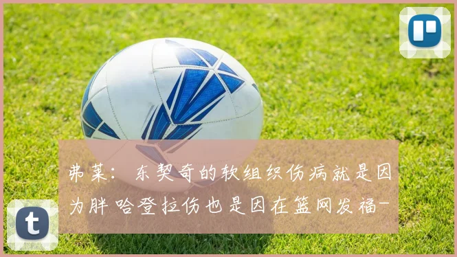 弗莱：东契奇的软组织伤病就是因为胖 哈登拉伤也是因在篮网发福